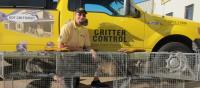 Critter Control of Houston image 1